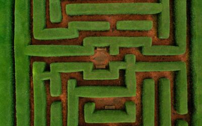 Behavioral Finance: Understanding the Psychology Behind Investment Decisions